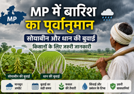 Mp barish purwanuman