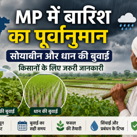 Mp barish purwanuman